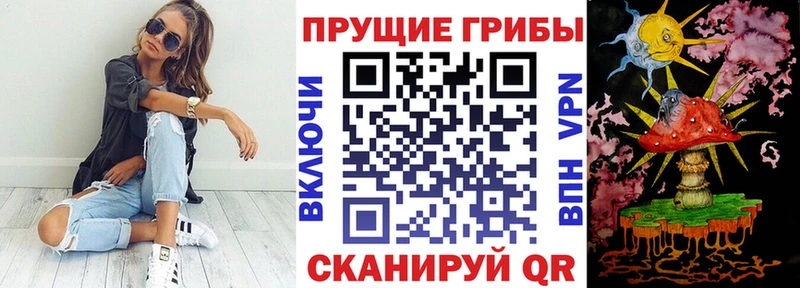 Псилоцибиновые грибы мухоморы купить наркоту Очёр